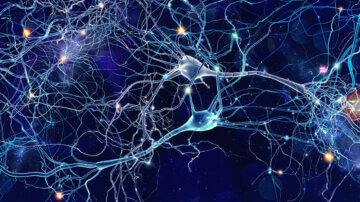 SKIM Consumer Psychology and decision behavior