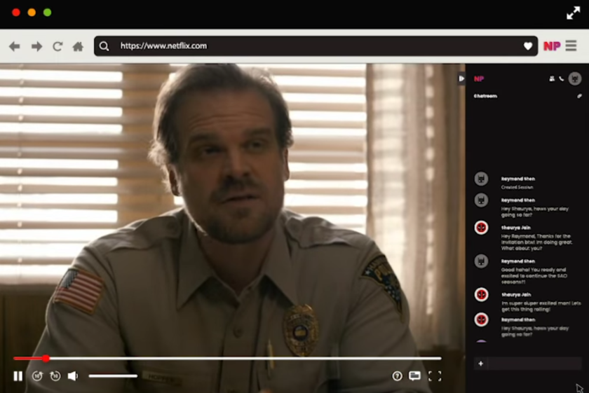 Netflix party