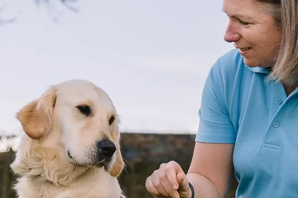 Quirk’s London: Forecasting demand for Guide Dogs 15 years into the future